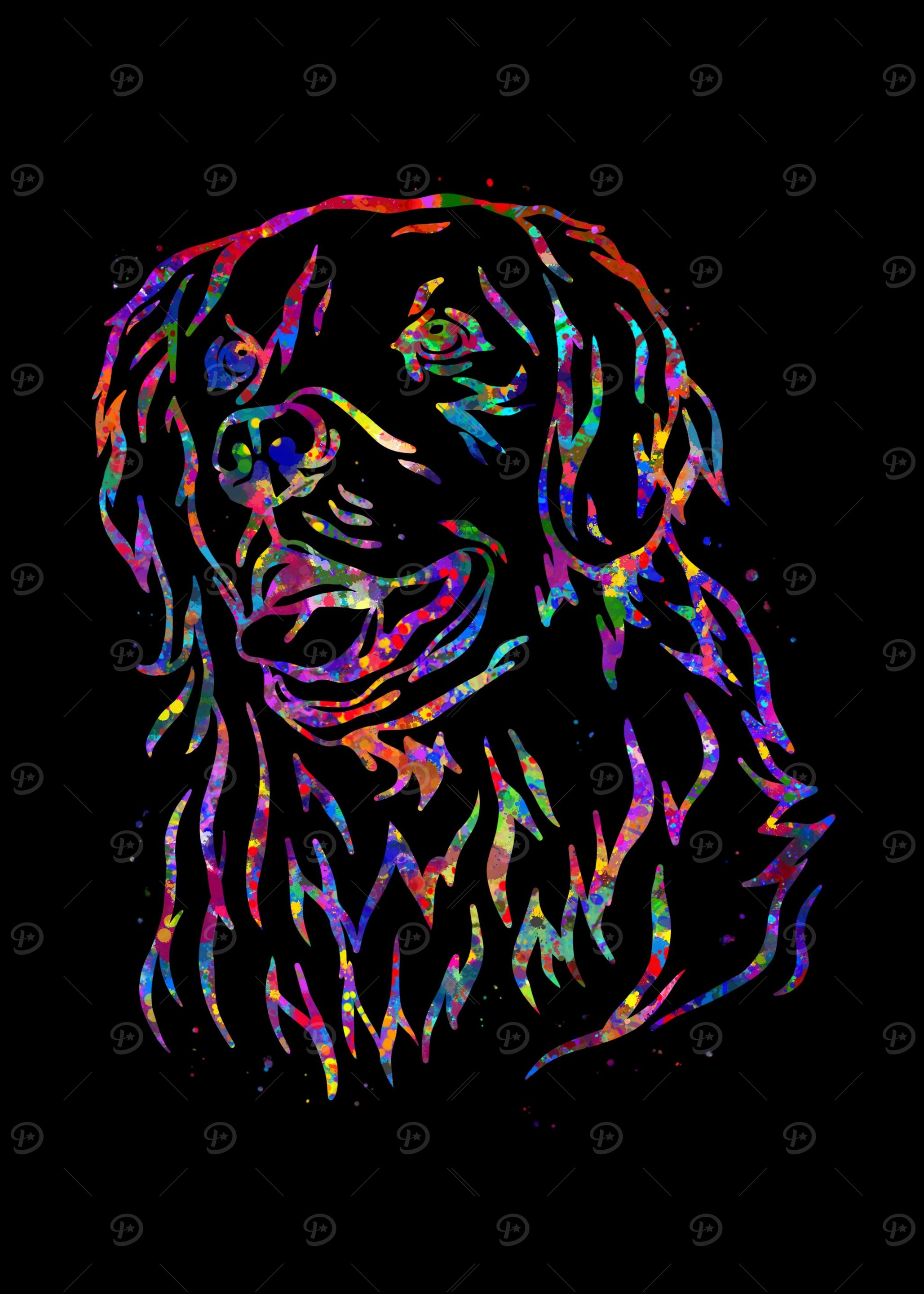 Golden Retriever head