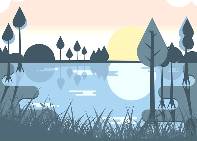 Swamp Landscape