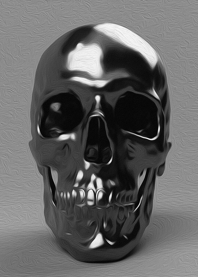 Study of a Human Skull