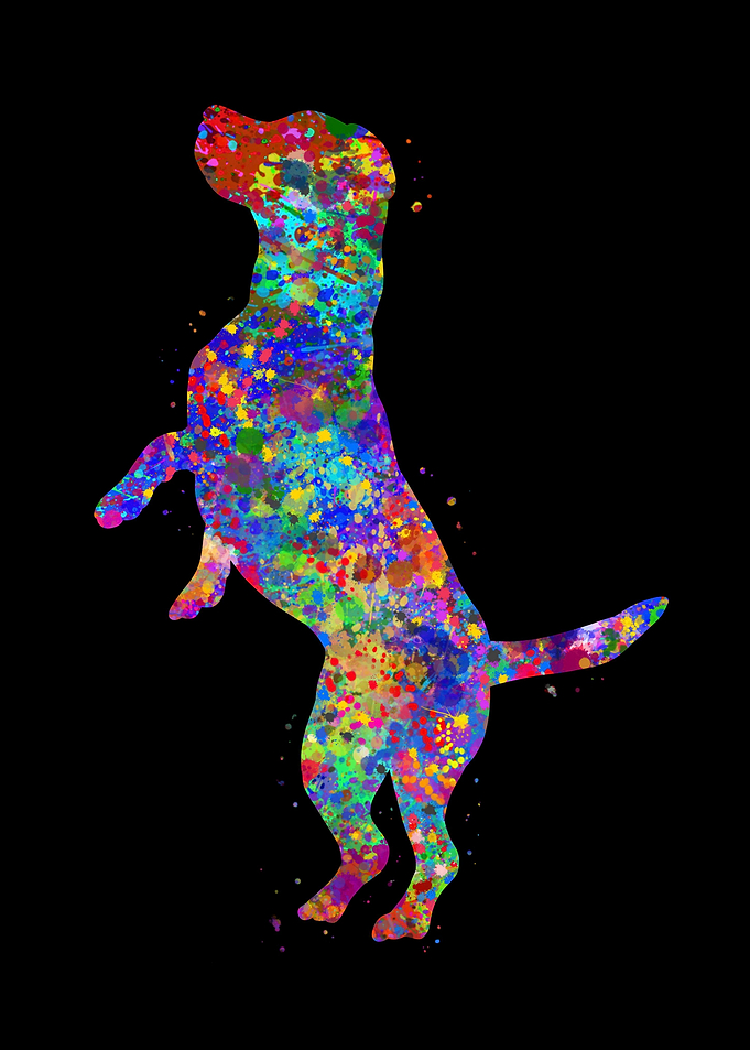 Beagle dog