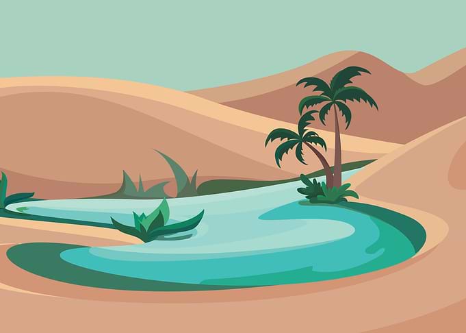 palm tree beach