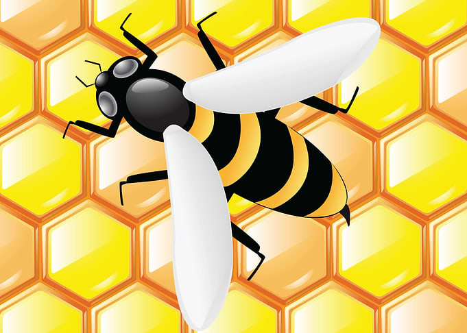 Bee Cartoon