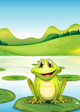 Frog cartoon