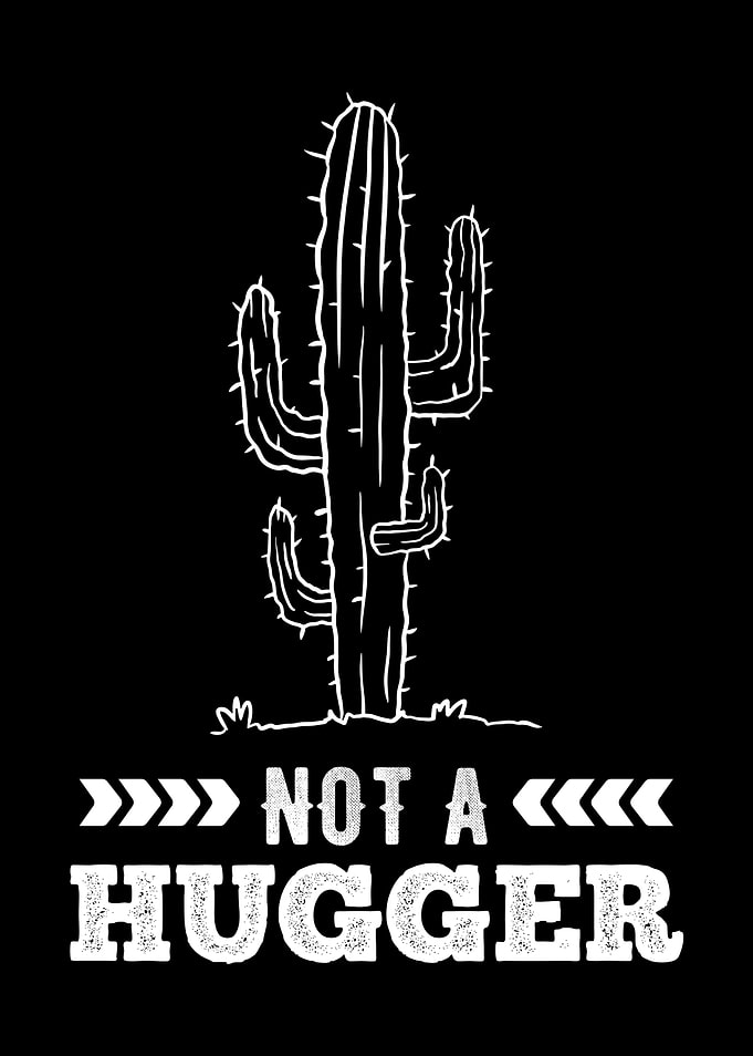 Funny Cactus Gift no Hugs