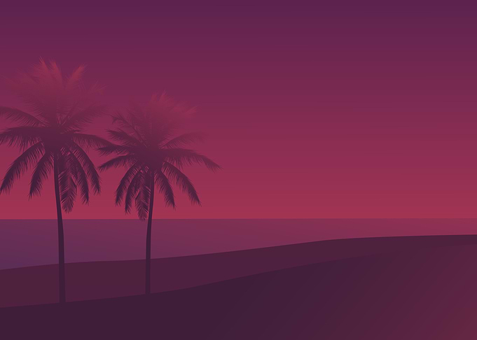 palm tree beach