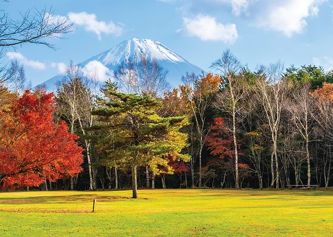 Autumn