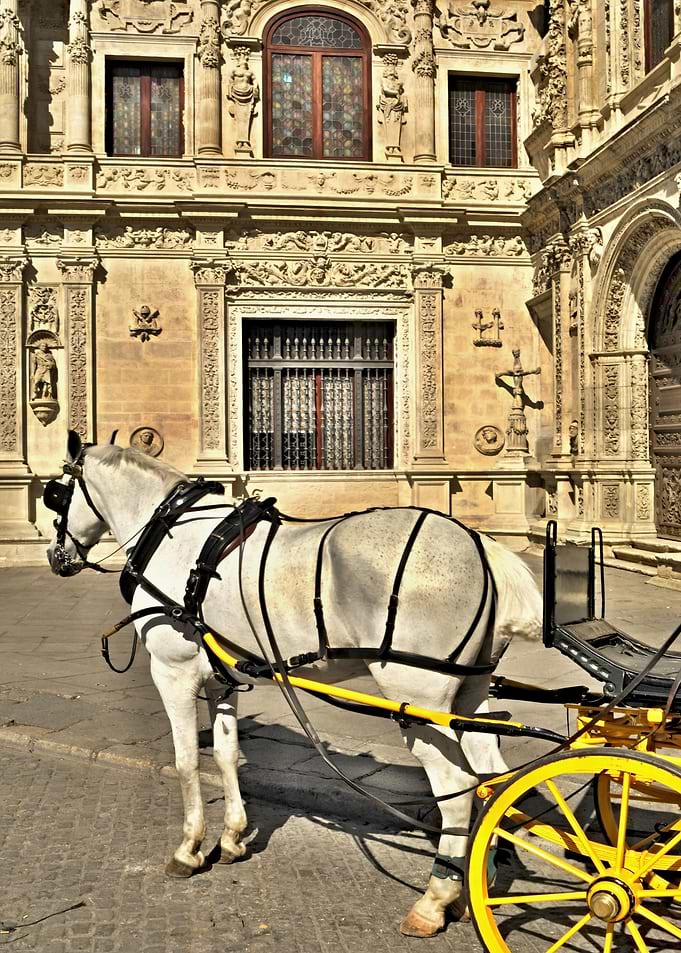 Carriage in Sevilla