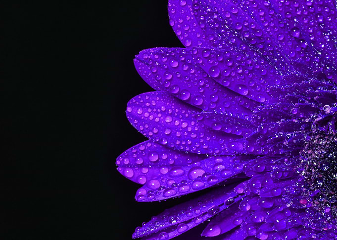 Flower Power