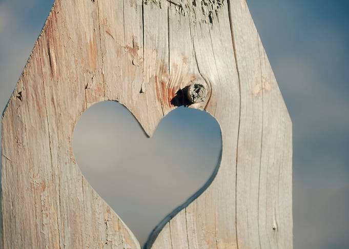 Palisade wood hole heart s