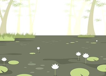 Swamp Landscape