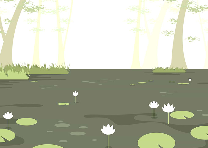 Swamp Landscape