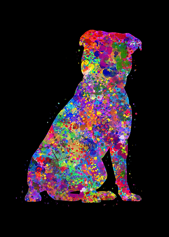 Staffordshire Bull Terrier