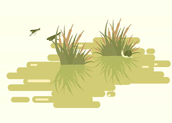 Swamp Landscape