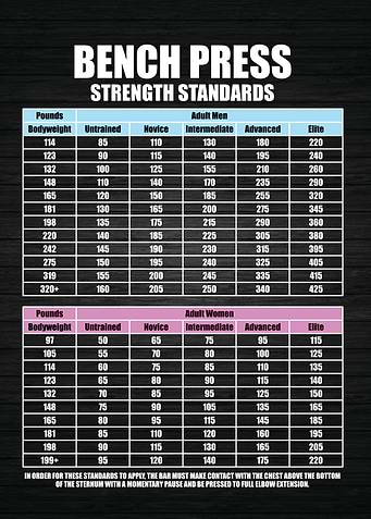 Bench Press Standards
