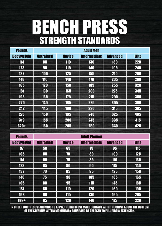 Bench Press Standards