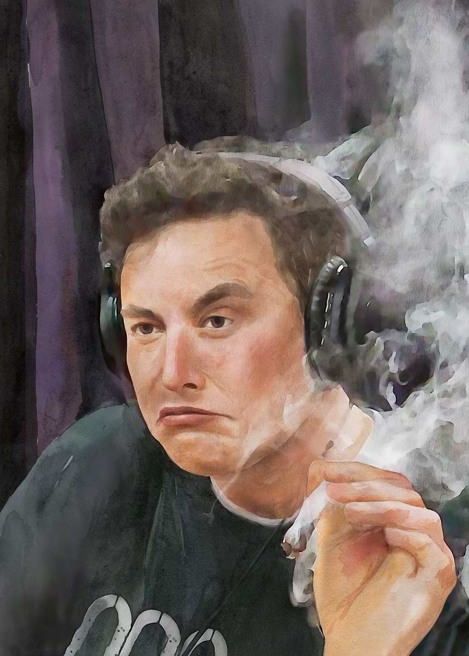 Young Elon Musk