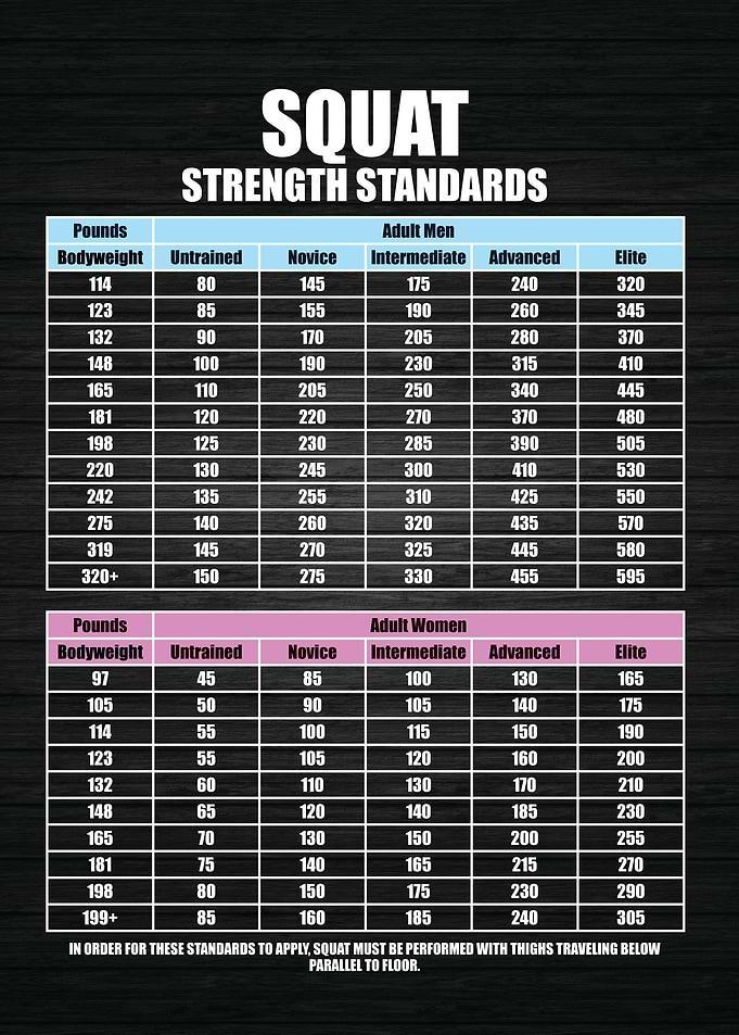 Squat Strength Standards