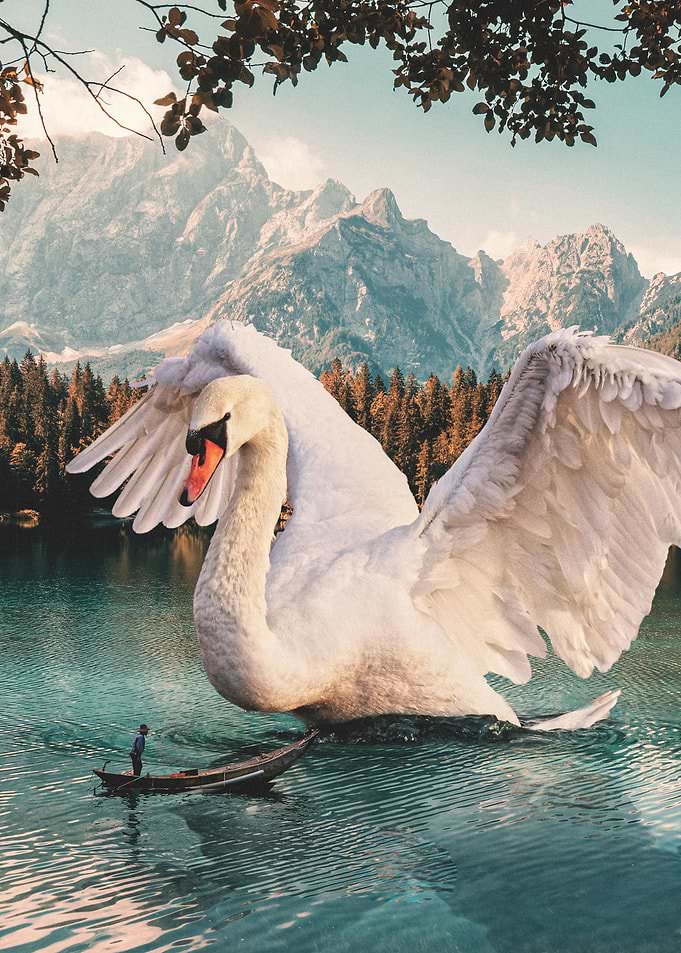 SWAN