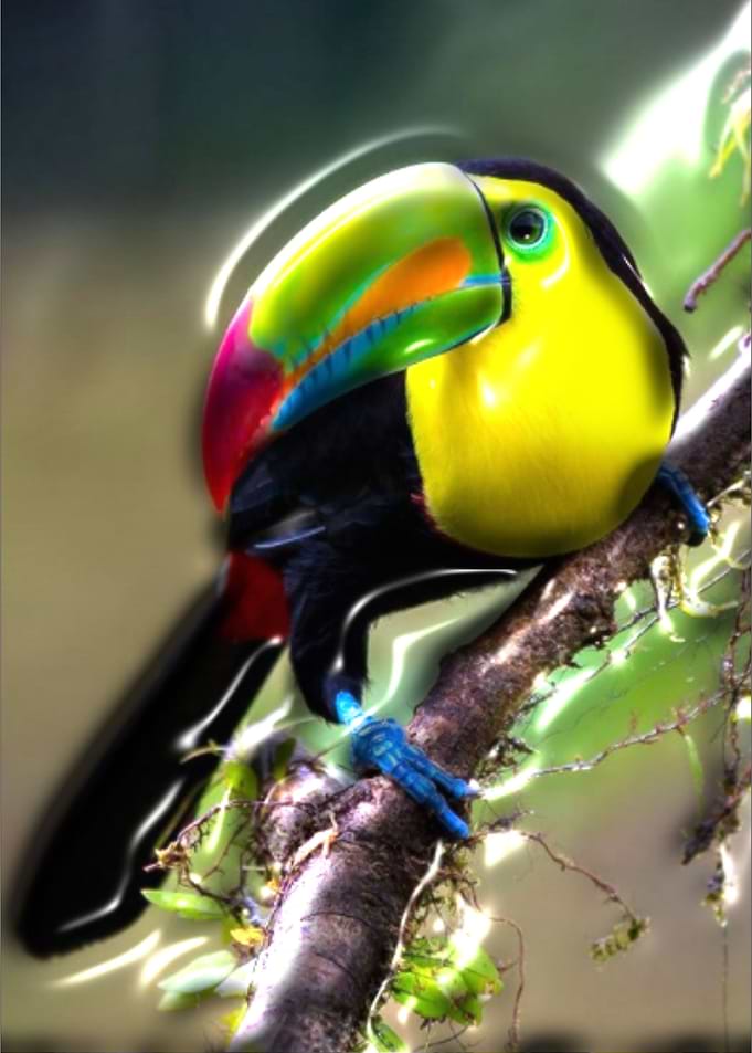 tucano plastic