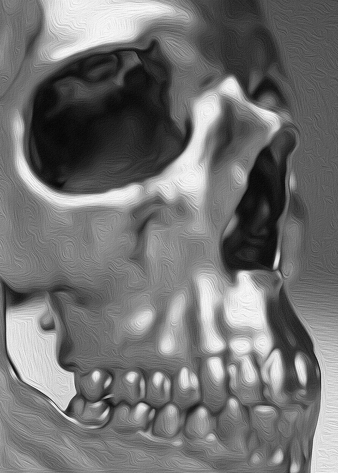 Study of a Human Skull