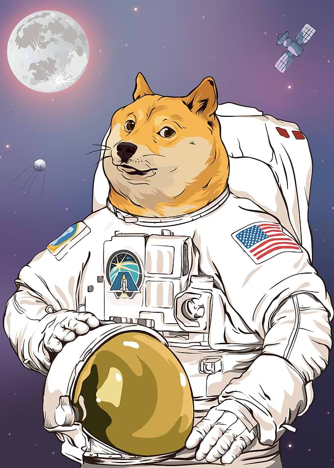 Dog Astronaut