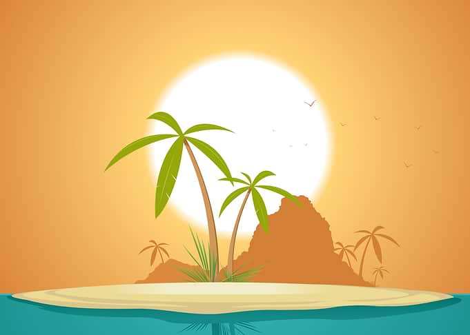 palm tree beach