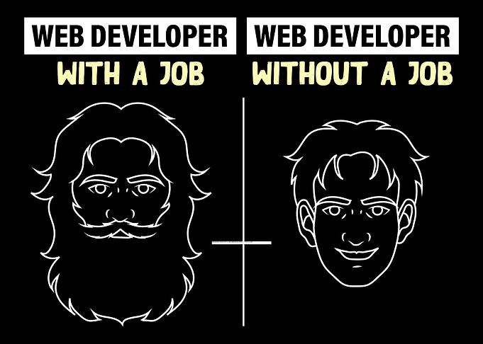 Web Developer Programmer
