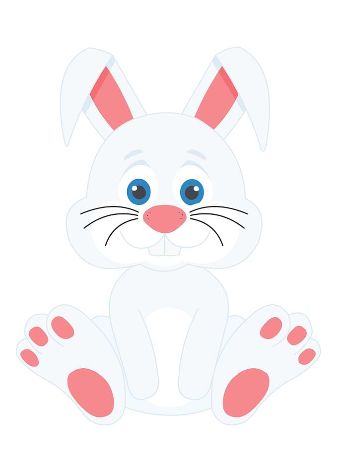 Cute bunny