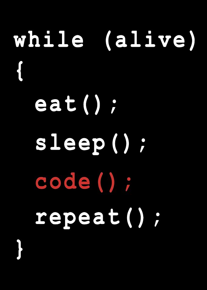 Programmer Coder