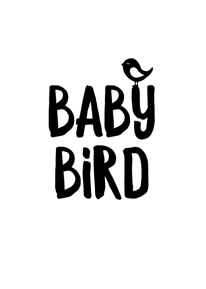 Baby Bird