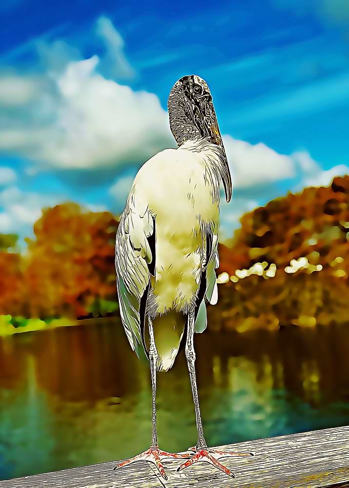 stork poster