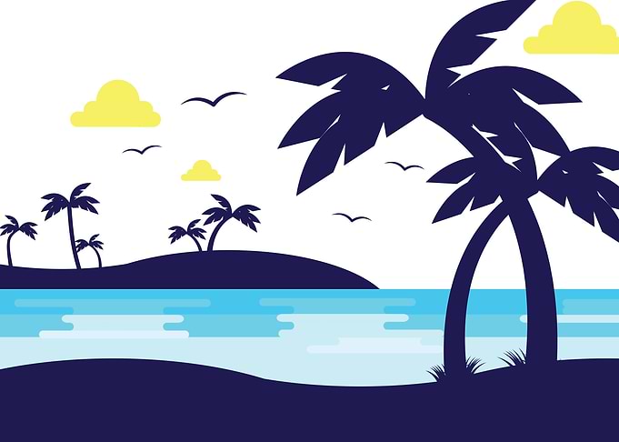 palm tree
