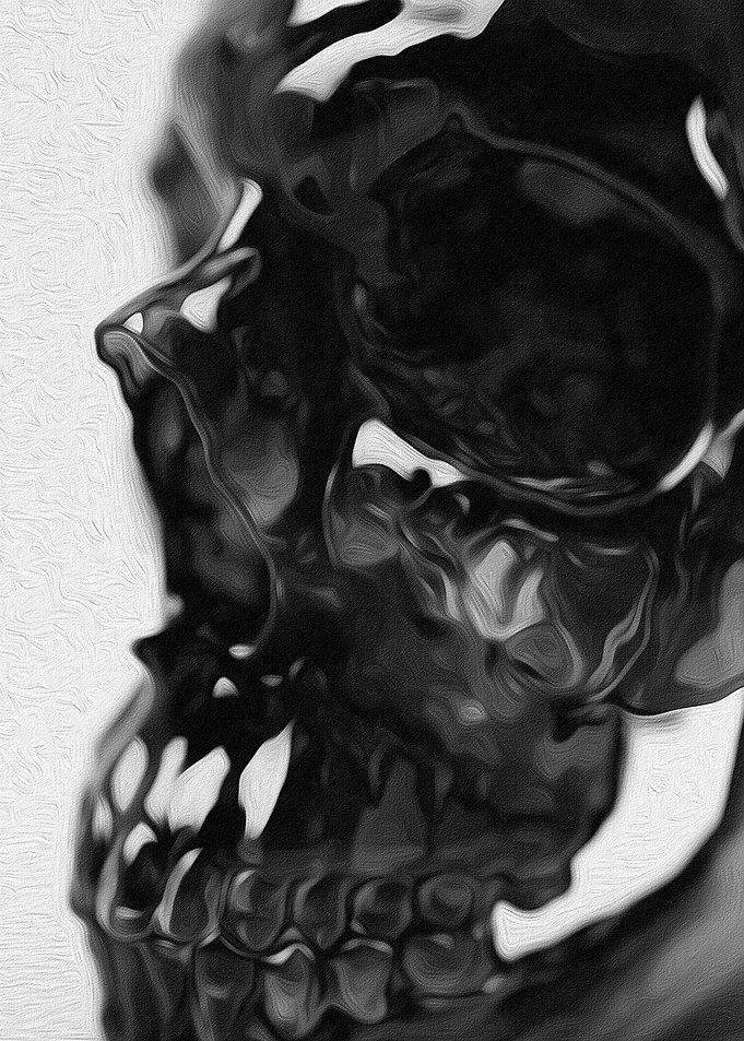 Study of a Human Skull