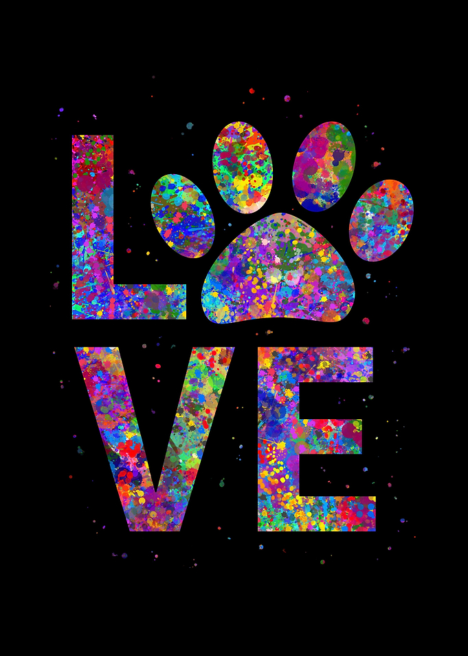 Dog Lover
