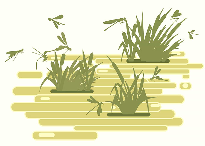 Swamp Landscape