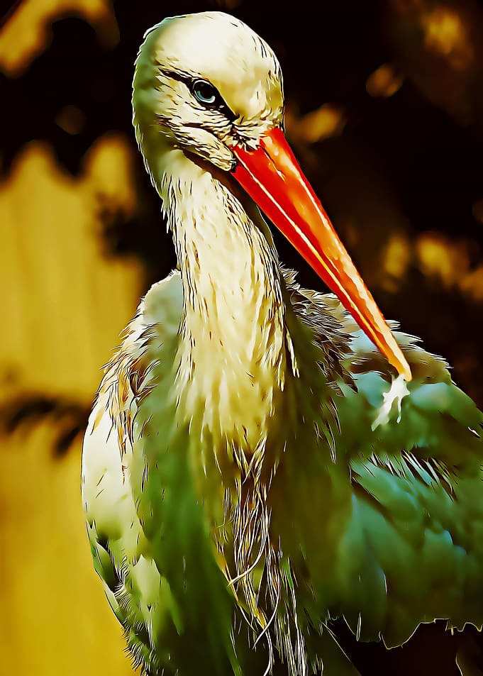 stork poster