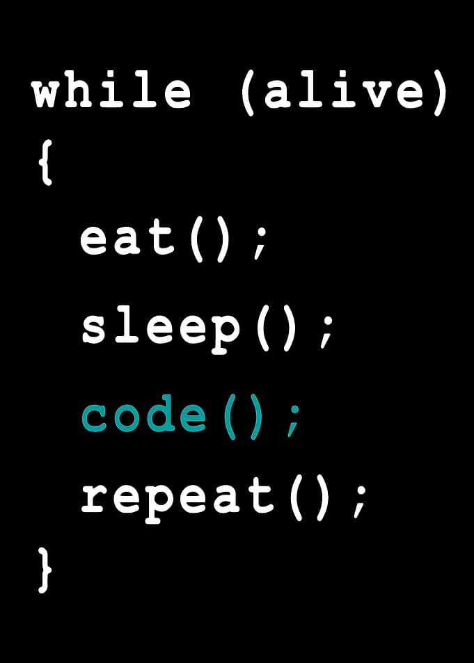 Programmer Coder