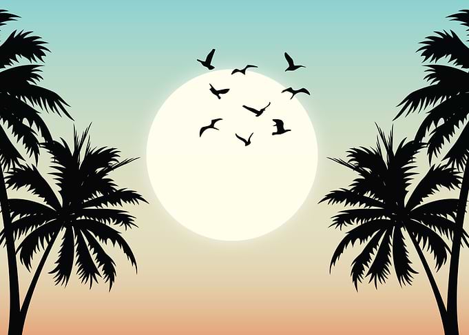 Beach Sunset