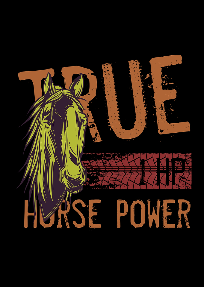 20 Horse4