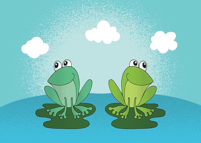 Frog cartoon