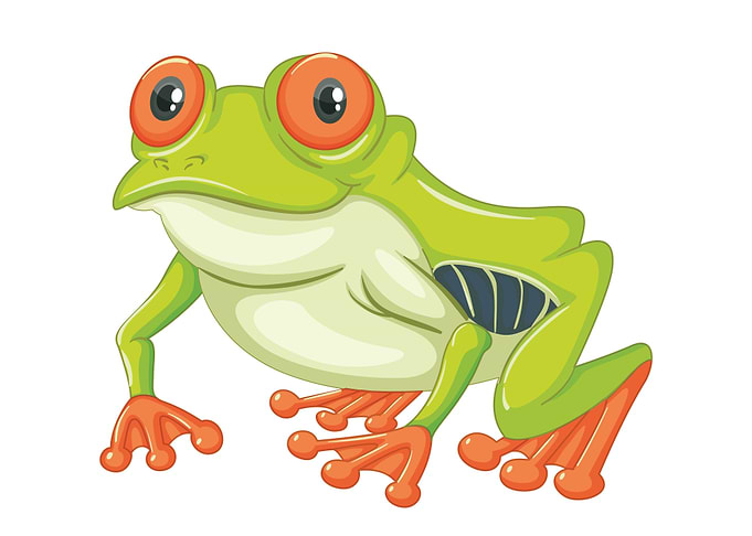 Frog cartoon
