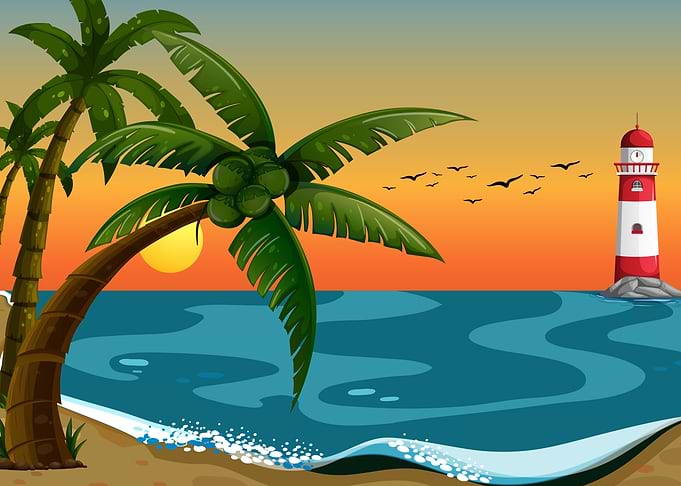 palm tree beach