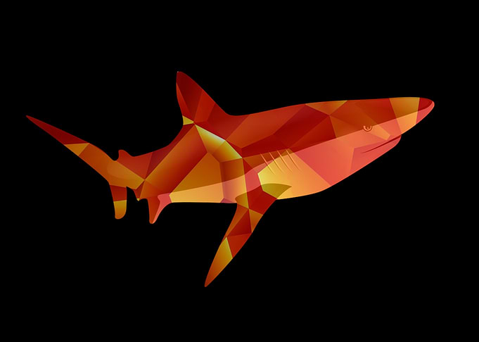 Shark