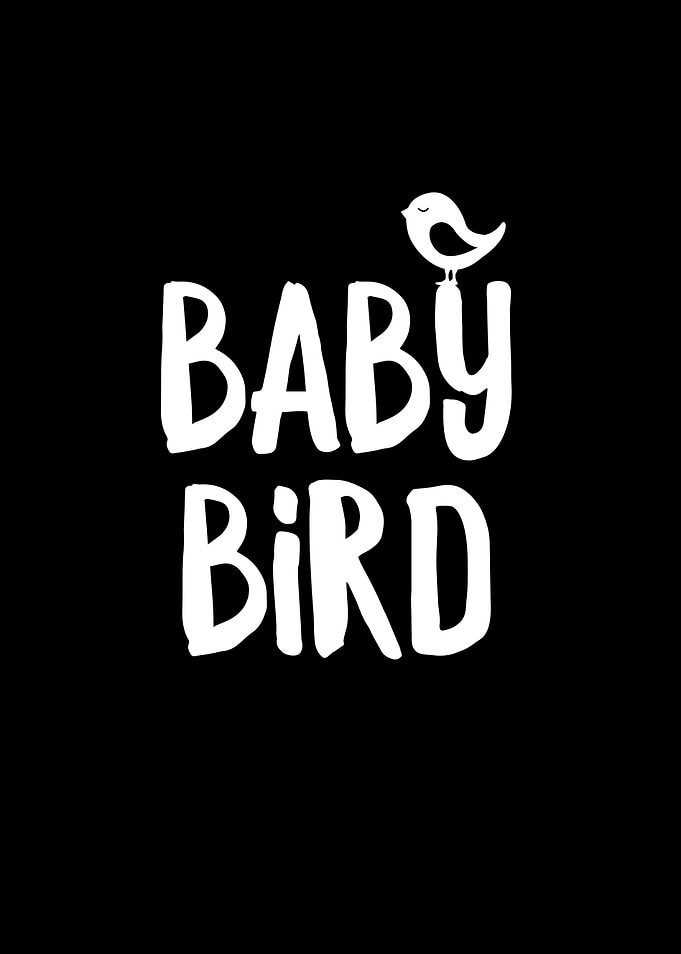 Baby Bird