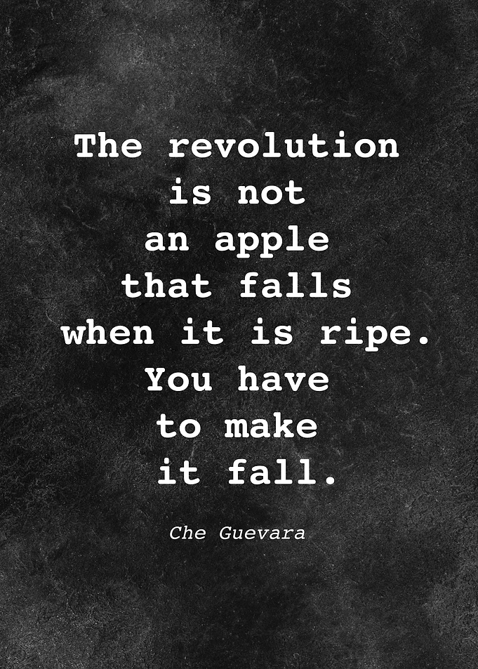 Che Guevara Quote D001