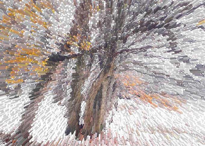 Winter in the forest