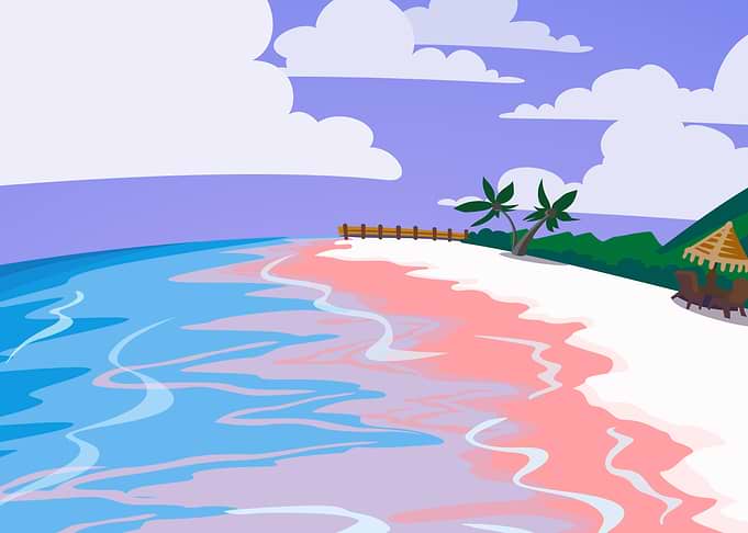 palm tree beach