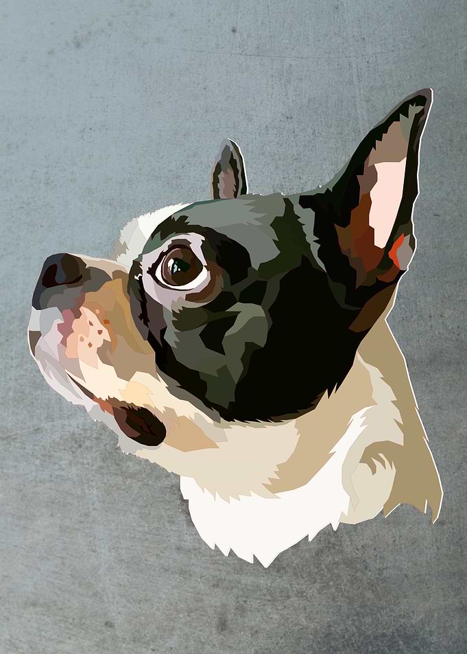 Dogs 01
