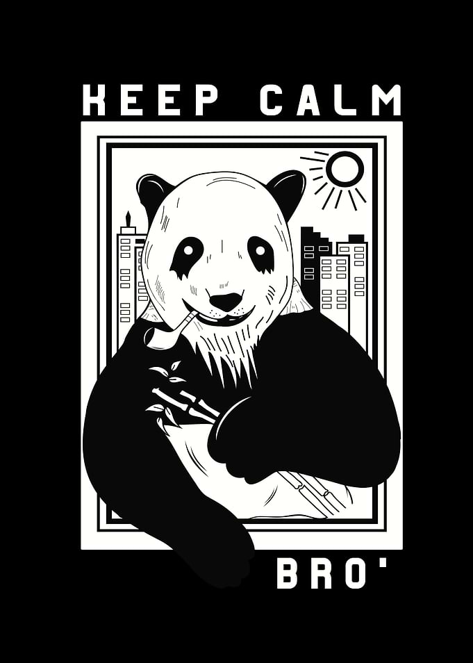 Keep Calm Bro Panda Relax