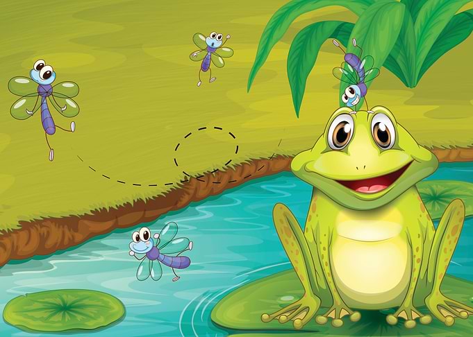 Frog cartoon
